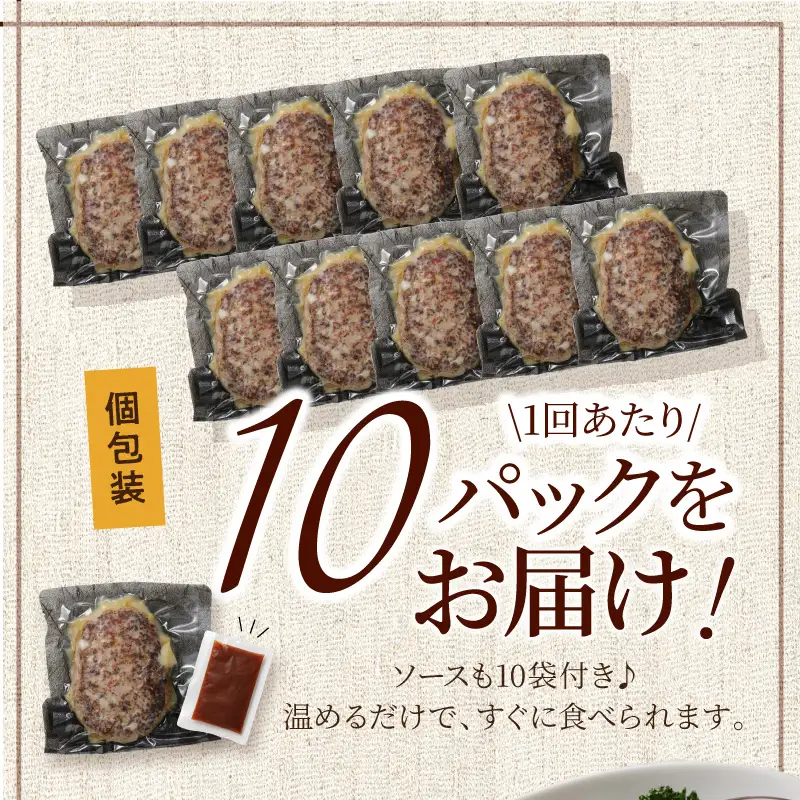 【4回定期便】本格調理済ハンバーグ10食 特製ソース付【001-0378】