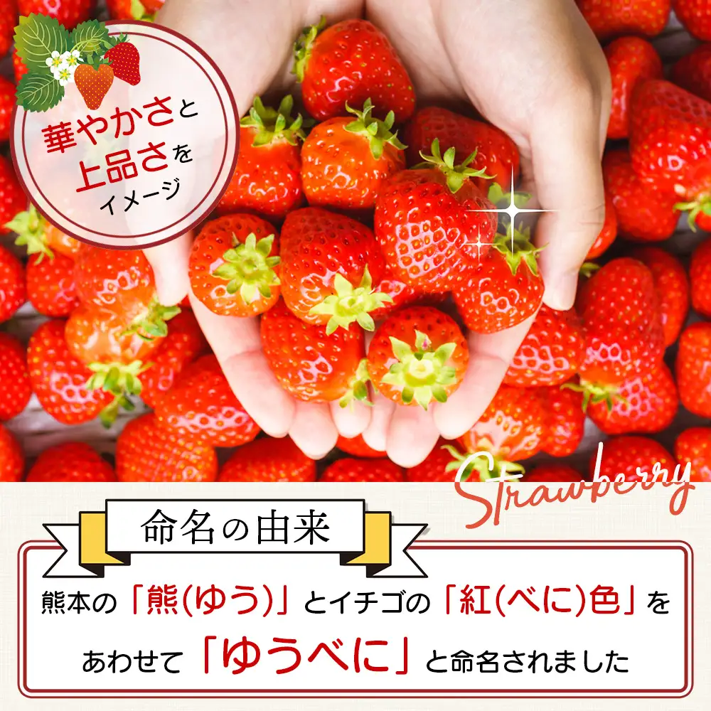 【2026年11月中旬?順次発送】熊本県産 ゆうべに 約260g×2パック 4月終了 103-0001