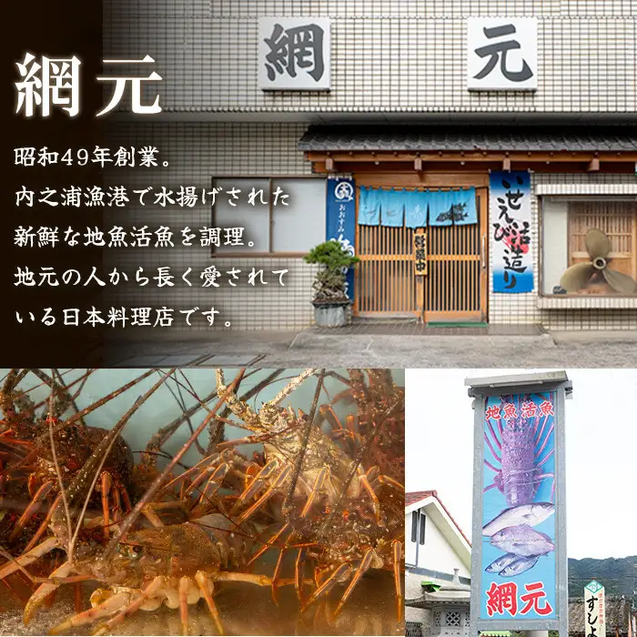 【活き〆冷凍】伊勢海老 刺身 (約450g) 鹿児島 国産 えび エビ 伊勢海老 さしみ 【網元】B47004
