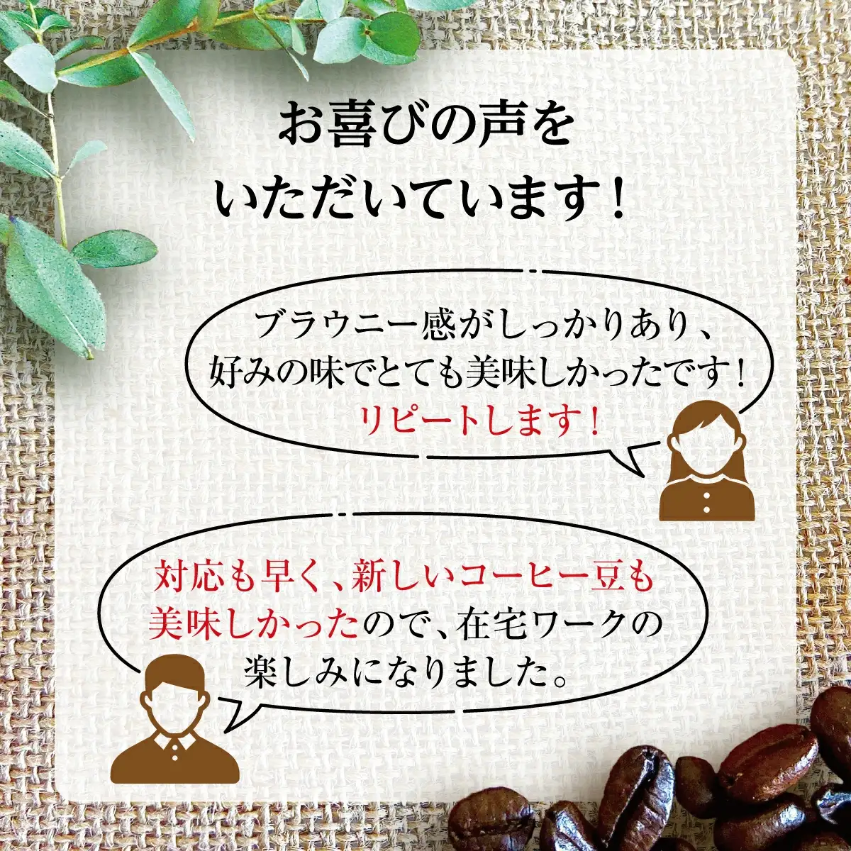 [ブレンド2種各250g] 世界流通量上位５％のスペシャルティコーヒー 豆