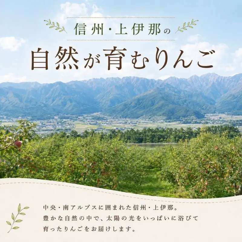 【トヨトミ】石油こんろ HH-2124(M) インテリア 防災用 強火力 簡単お手入れ ２重タンク構造 耐震自動消火装置付き 