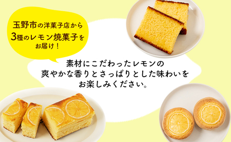 瀬戸内 レモン 焼菓子 セット (2) お菓子
