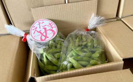 【先行予約】＜うまっ！＞やみつき必須！うんめえ枝豆！ 900g 【配送不可地域：北海道・沖縄・離島】 産地直送 野菜 えだまめ 岐阜市 / 大塚農園 [ANDQ001]