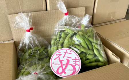 【先行予約】＜うまっ！＞やみつき必須！うんめえ枝豆！ 1800g 【配送不可地域：北海道・沖縄・離島】 産地直送 野菜 えだまめ 岐阜市 / 大塚農園 [ANDQ002]