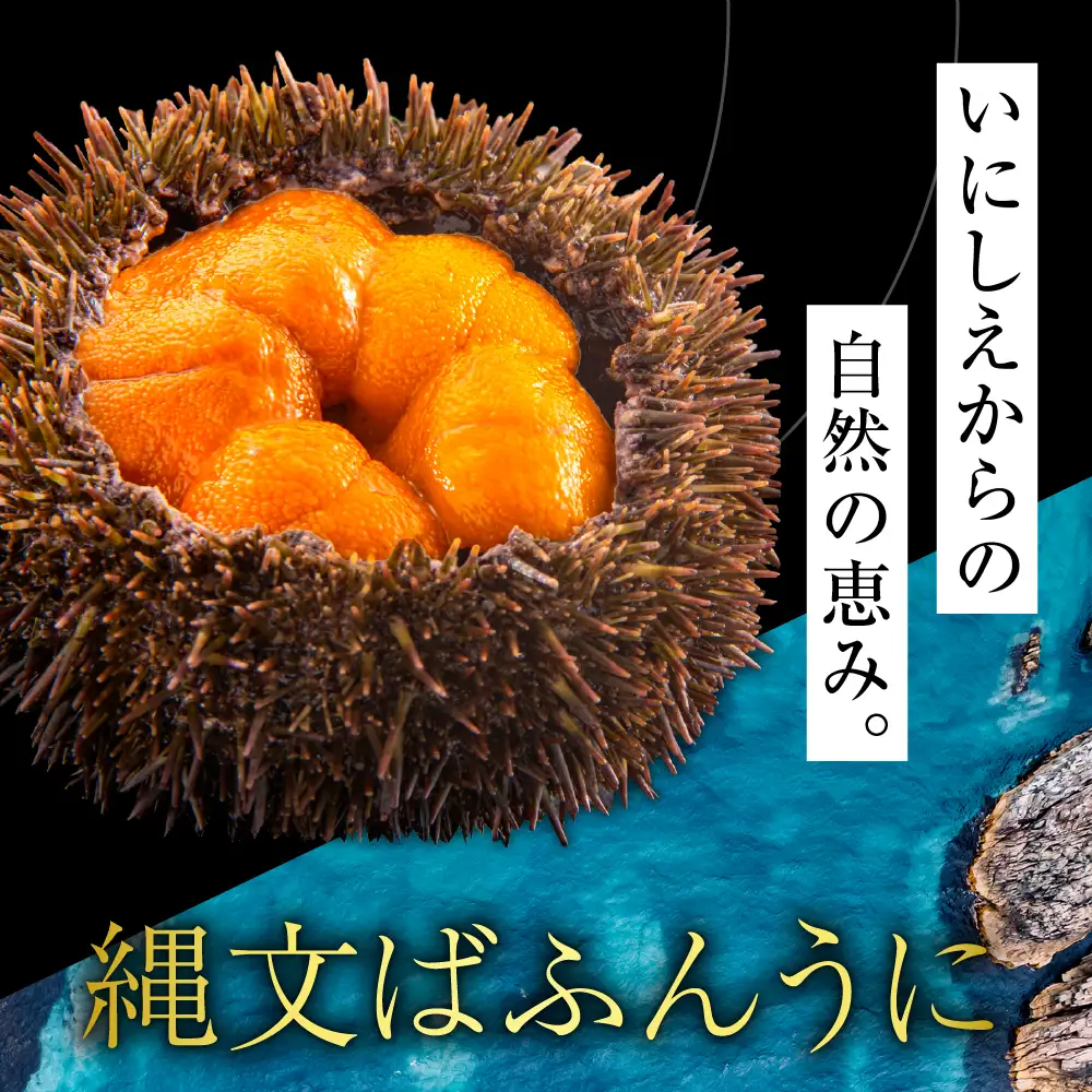 縄文ばふんうに（日高昆布入）80g×2パック【塩水ウニ】