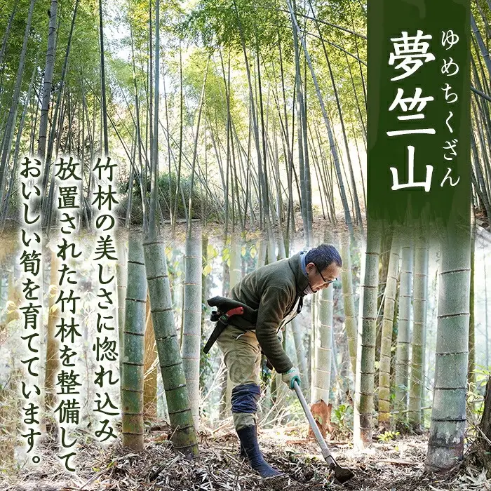 a931 ＜先行予約受付中！2027年3月中旬～4月中旬まで体験分＞竹の子堀り体験(1名様：昼食・タケノコ5kgお持ち帰り付)【夢竺山】 姶良市 たけのこ タケノコ 筍 竹の子 体験