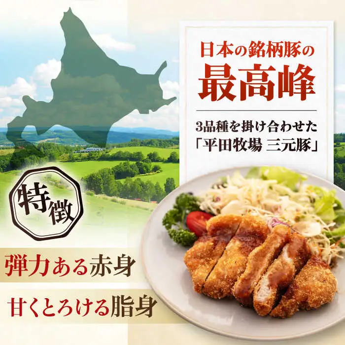 平田牧場 ロース ステーキ 600g  (100g×6枚) ※藻塩付  豚肉 とんかつ 生姜焼き[AJAP003]