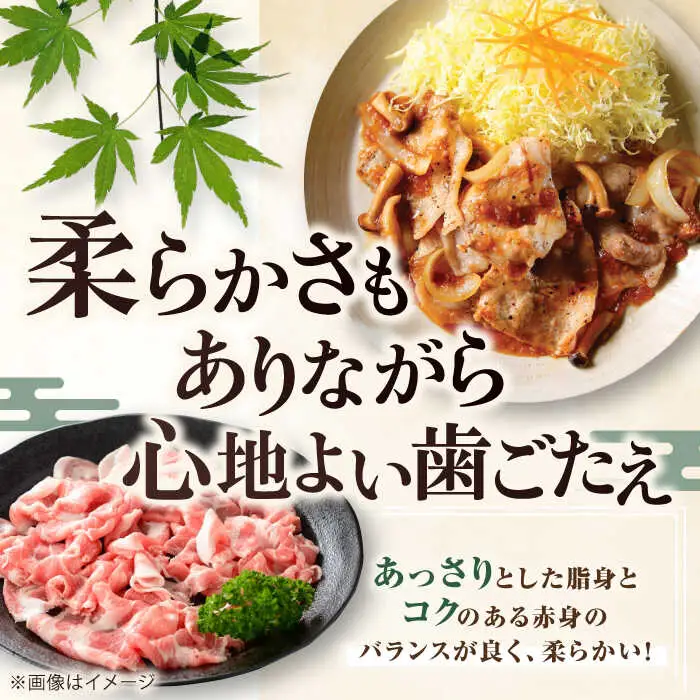 平田牧場 切り落とし 2kg (500g×4P)  豚肉 切り落とし 小分け [AJAP006]