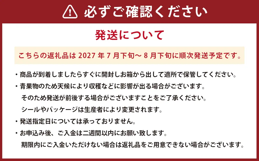 ＜ R8年熊本地震復興支援 ＞熊本産 シャインマスカット 約1.2kg 2～3房【2027年7月下旬～2027年8月下旬発送予定】シャインマスカット 果物 くだもの