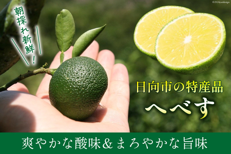 【期間限定発送】 へべす ひなたGAP認定 ふぞろい 2kg