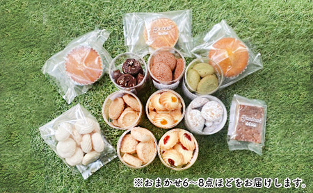【ふるさと納税】 genius? 焼き菓子アソート(小)  ( 焼き菓子詰め合わせ 6～8点ほどおまかせ ) 洋菓子 焼き菓子 スイーツ ギフト 贈答 お菓子 おやつ ふるさと納税 人気 おすすめ 送料無料 兵庫県 三田市
