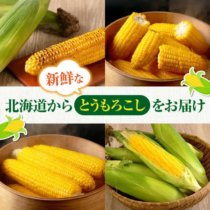 【先行予約】朝採れとうもろこし 10本 [AJAH025] とうもろこし