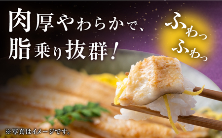 【全3回定期便】対馬産 西沖あなご 200g×3パック [WAA025] あなご アナゴ あなご 穴子