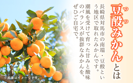 【24年1月限定発送】 対馬 つつ みかん 10kg  長崎 豆酘みかん ミカン 柑橘  [WBM005]