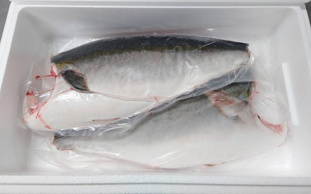 オリーブハマチ　冷凍　カマ・鱗付き半身２枚　約3kg（原体4.6kg）【B-55】【予約受付：令和8年11月頃よりご用意でき次第発送！】