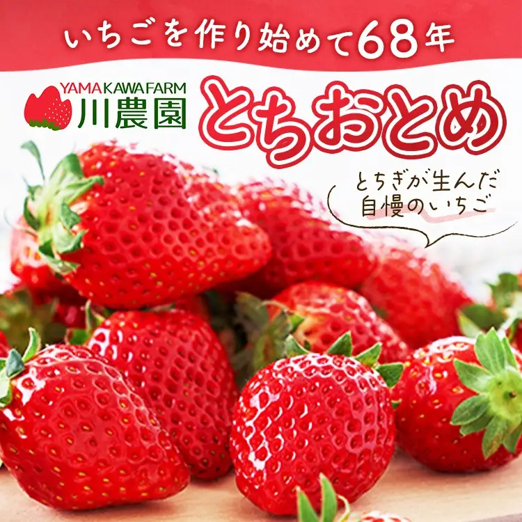 【先行予約】とちおとめ320g×2パック 3Lサイズ いちご アフター対応あり いちご ※2027年1月～発送