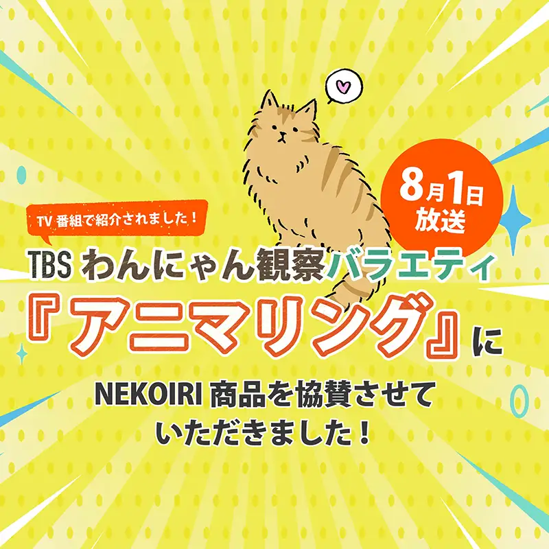 壁掛け 猫ハウス NEKOIRI ： 猫ハウス 壁掛け ペット用品