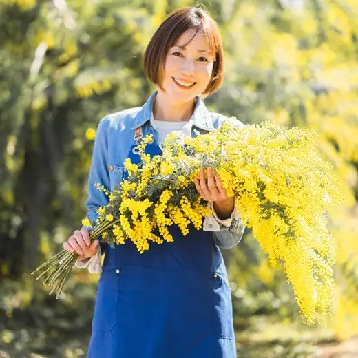 牧之原産 ミモザ切り花 80cm×8本 手作り 緑王園芸 お花 観葉 静岡県 牧之原市 