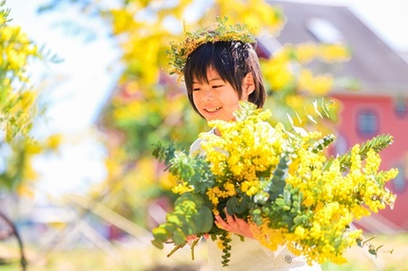 牧之原産 ミモザ・ユーカリ切り花ボリュームセット 手作り 緑王園芸 お花 観葉 静岡県 牧之原市 