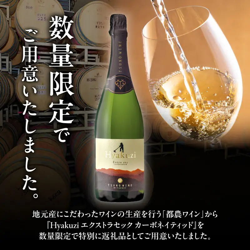【数量限定】Hyakuzi エクストラセック カーボネイティッド(計1本) 酒 飲料 アルコール 国産_T014-0075