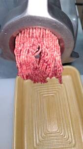 A5 飛騨牛 100％使用 ひき肉 500g 挽肉 ミンチ ハンバーグ の種