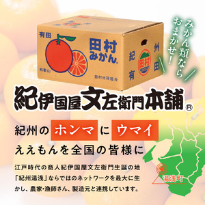 【2026年先行予約】田村みかん／5kg秀品【大玉サイズ】_V7451
