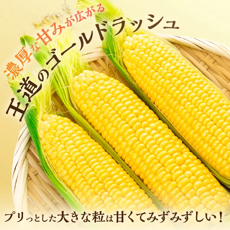 先行予約 スイートコーン ゴールドラッシュ 計4.5kg_CBV16-26