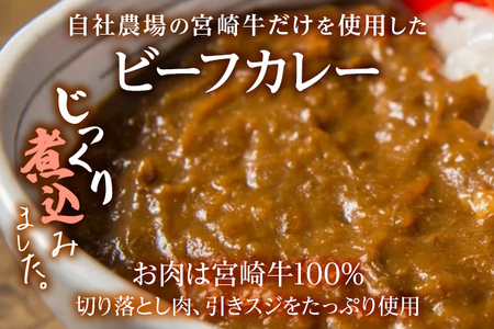 ビーフカレー 九州産黒毛和牛  4個セット 惣菜 夜食 壱岐ファーム カレー 自社農場 ビーフ 宮崎牛