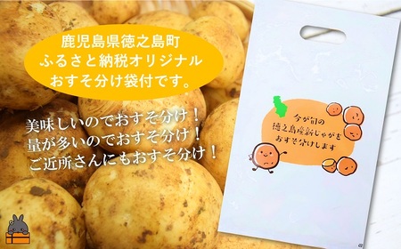 《今が旬！》福祉作業所の仕事にもつながる！徳之島の“新”じゃがいも（5kg）( バレイショ 野菜 旬 春 徳之島 奄美 鹿児島 肉じゃが カレー じゃがバター 美味しい 人気 オススメ )