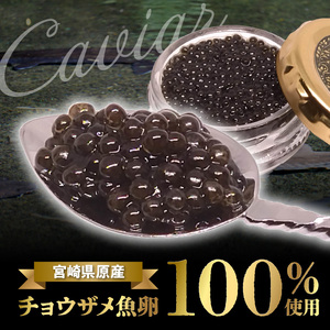 宮崎県産キャビアEVERGREEENCAVIARエバーグリーンキャビア12g N0183-YC221
