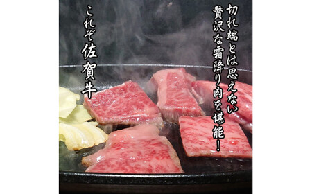 佐賀牛はしっこちゃん500ｇ 161-J1222