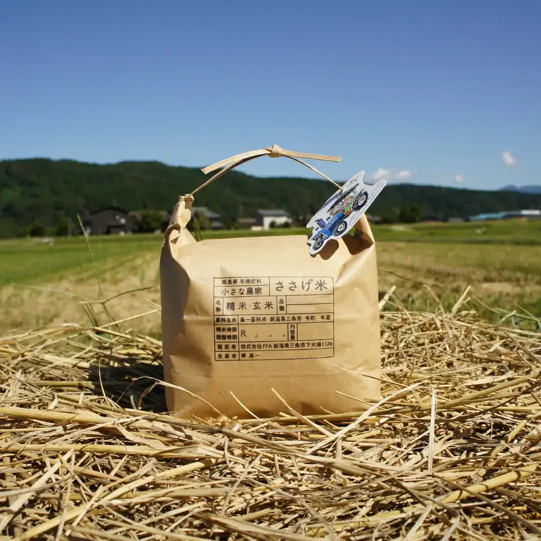 減農薬有機肥料栽培 新潟県産こがねもち 3kg もち米 令和8年産 [小さな農家ささげ米] 10000円以下 1万円以下 【010S439】