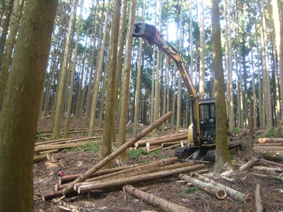 【あしがらの薪(スギ、ヒノキ) 約15kg】  キャンプや焚き火・薪ストーブ・暖炉・テントサウナ薪に最適  神奈川県産【薪 スギ ヒノキ 針葉樹 アウトドア 神奈川県 山北町】
