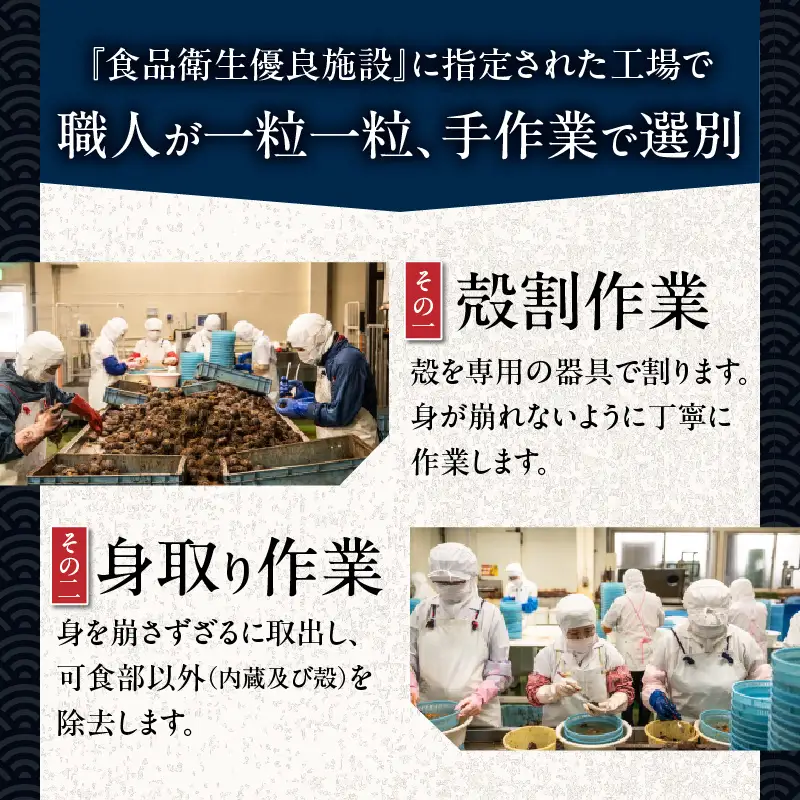 【 10営業日以内に発送 】 北海道苫小牧産 ほっき貝 3kg （ 9～11個 ） T032-001 魚介類 貝