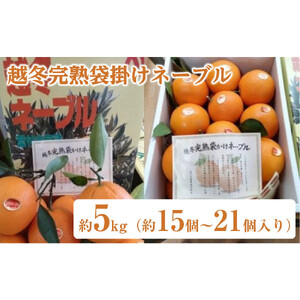 越冬完熟袋掛けネーブル 約5kg（約21個）と大粒いちごさぬきひめ 2パック