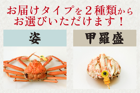【先行予約】美味しさ直送！ 【成前特選】越前がに（300g～400g）×1杯【2月～3月発送】 [C-028041] / 越前がに
