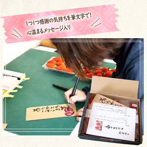 竜王町産 いちご きらめきの雫  4パック 食べ比べ セット 