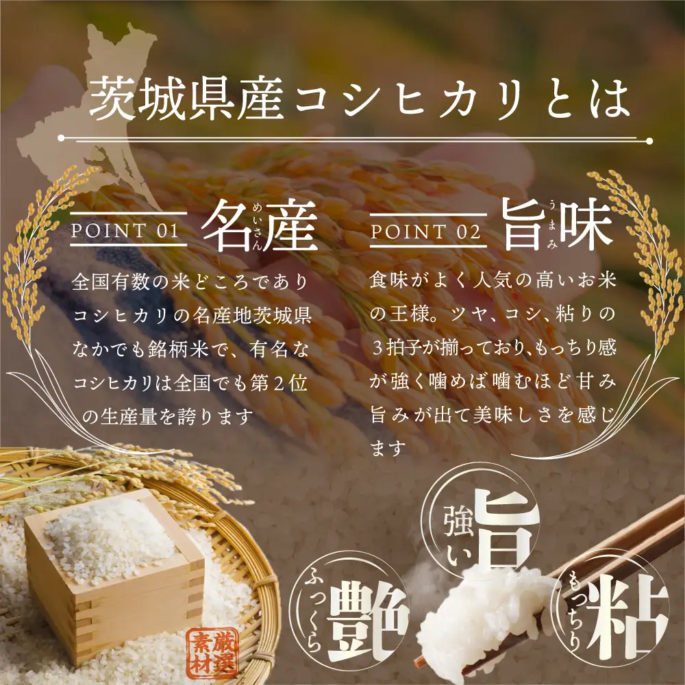 最短翌日出荷!! 令和7年産 茨城県産 コシヒカリ 10kg ( 5kg ×2袋) 