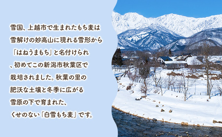 秋葉の里　白雪もち麦 雑穀 お米 食物繊維 カルシウム 鉄分 ビタミンＢ