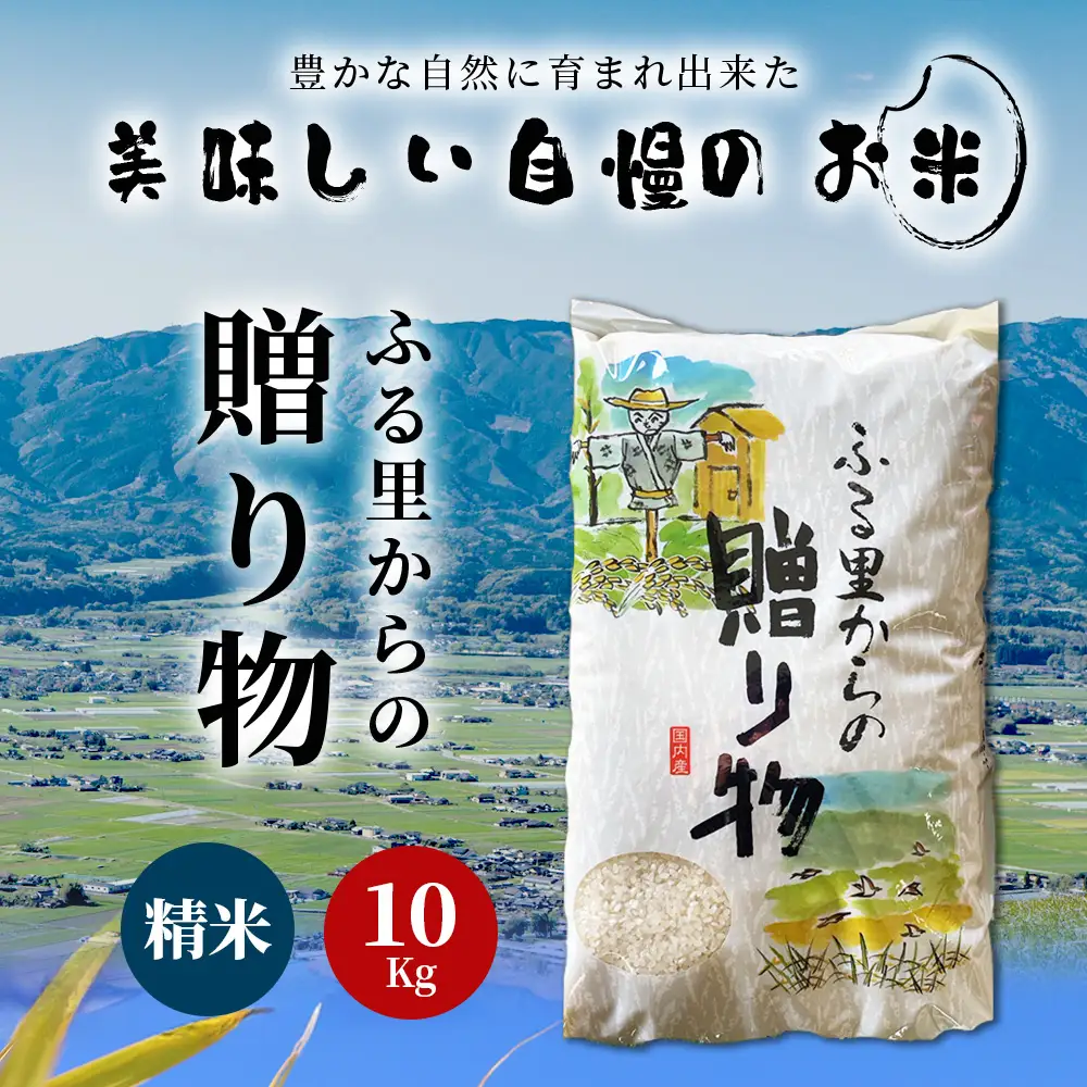 令和7年産 精米 「ふる里からの贈り物」10kg 熊本産 ひのひかり ヒノヒカリ ブレンド米 036-0178