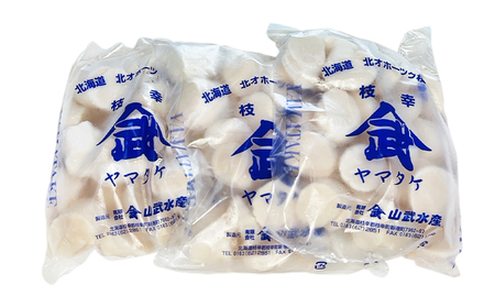 ほたて貝柱 冷凍 枝幸ほたて 北海道産 ほたて貝柱【500g×3パック(4S)】