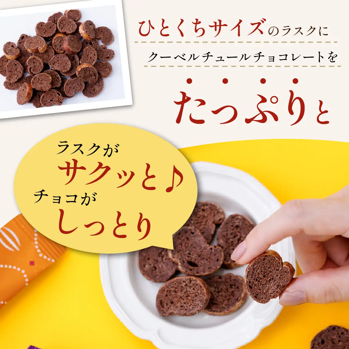 YOKOIチョコラスク カカオ 8個入り [A-127002] / チョコ