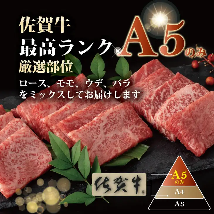 佐賀牛 焼肉 400g  焼肉 牛肉 厳選部位 B120-031