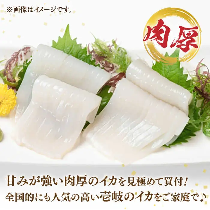刺身用 剣先イカ 約2kg（急速冷凍）《壱岐市》【魚助】 イカ いか 剣先いか ケンサキイカ刺し身 鮮魚 海鮮 [JFX001]