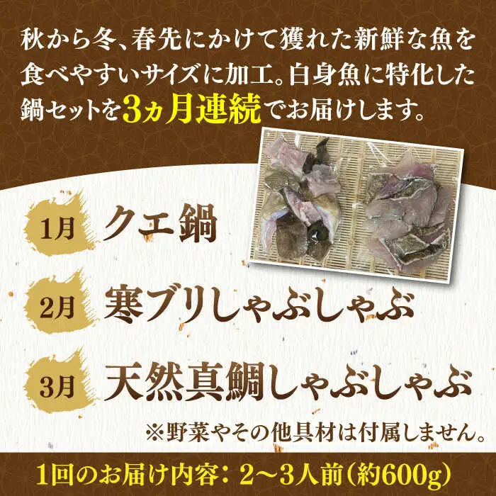 【先行予約】【全3回定期便】 《1・2・3月お届け》うまか鍋セット 2から3人前（約600g） 【2027年1月以降順次出荷 】《壱岐市》【魚助】 鍋 くえ クエ ブリ ぶり 鰤 鯛 たい タイ クエ鍋 ブリしゃぶ [JFX003]