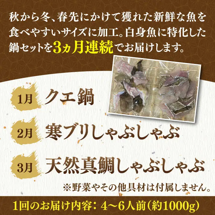 【先行予約】【全3回定期便】《1・2・3月お届け》 うまか鍋セット 4から6人前（切身約1000g）【2027年1月以降順次発送】 《壱岐市》【魚助】 鍋 くえ クエ ブリ ぶり 鰤 鯛 たい タイ クエ鍋  [JFX004]