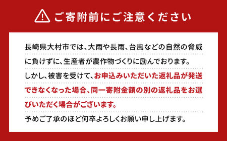 いちご「ゆめのか」4P / イチゴ 苺 いちご ゆめのか 果物 くだもの フルーツ ふるーつ / 大村市 / 産直松吉[ACZC005]