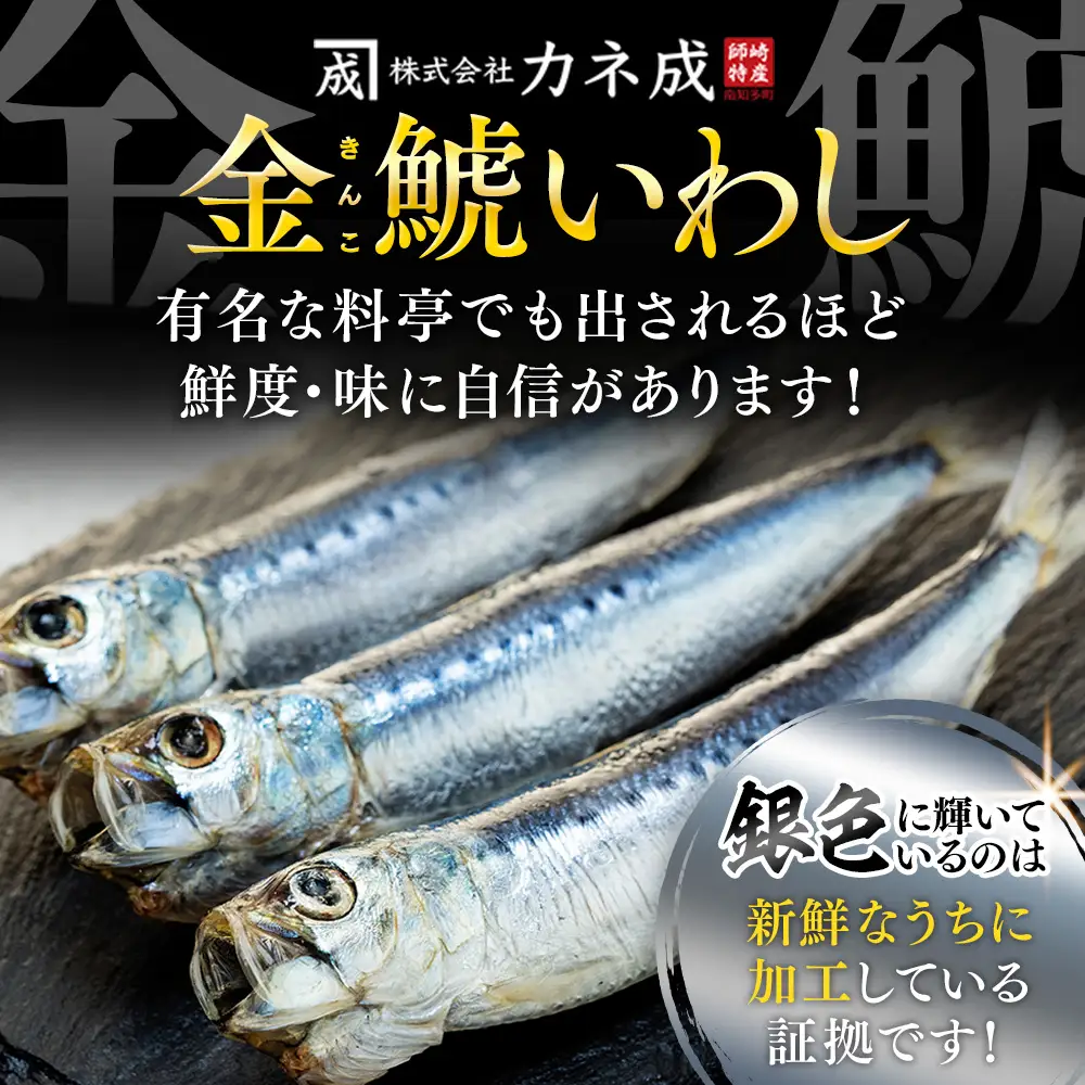 いわしの丸干し 24尾(8尾×3パック) 小分け イワシ