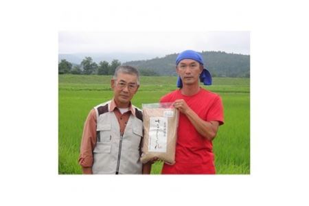 3回 定期便 希少品種米 ササシグレ 玄米 5kg×3回 総計15kg [長沼 太一 宮城県 加美町 44581418] 44581418