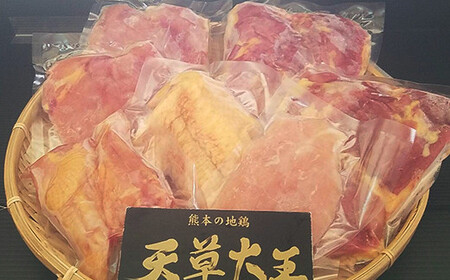 FKK19-201_天草大王 一羽セット（総重量2.5キロ） 熊本県 嘉島町